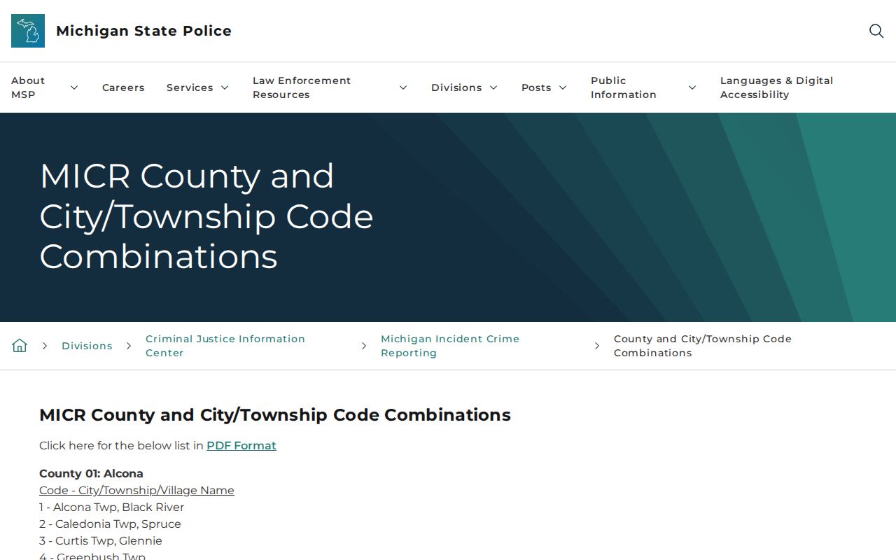 Bad Axe court docket municipality code record for Huron County
